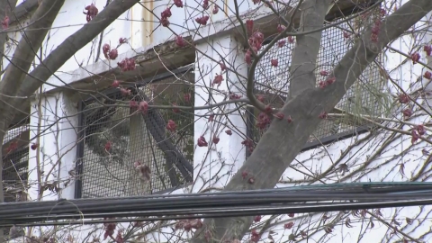  경호처, 경찰 2차 안가 압수수색 시도도 거부