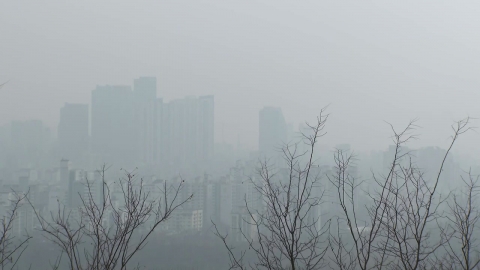 [YTN Weather 1/21] Instead of the cold, high concentration of fine dust...Deep morning fog watch out.