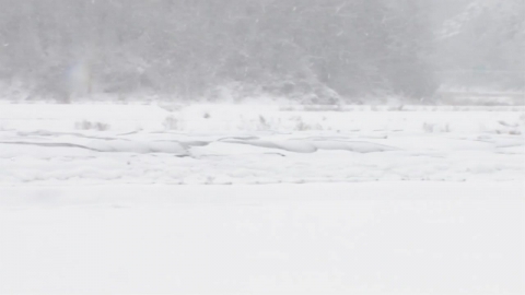  코레일 "폭설·한파로 KTX 경부·호남·강릉·중앙선 서행 운행"