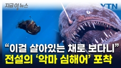 "어쩌면 역사상 최초"...대낮에 포착된 \'악마의 물고기\' [지금이뉴스] 