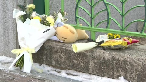  국회 교육위, 18일 '대전 초등학생 사건' 현안질의