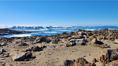 남극장보고기지, 역대 최고 1월 기온 8.1℃ 기록