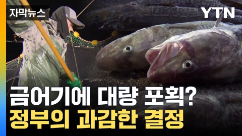 [자막뉴스] 정부의 과감한 결정...활기 찾은 동해안