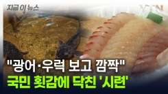 광어·우럭, \'국민 횟감\'도 옛말?...충격 상황에 \'대혼란\' [지금이뉴스]