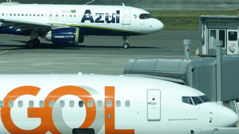 브라질에서 조류 충돌로 아찔한 여객기 긴급 회항 잇따라