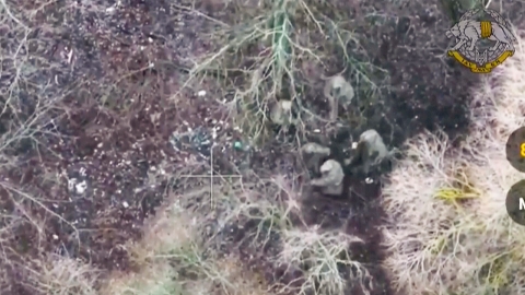 "북한군 일부 집단투항 가능성"...러 구출작전 실패