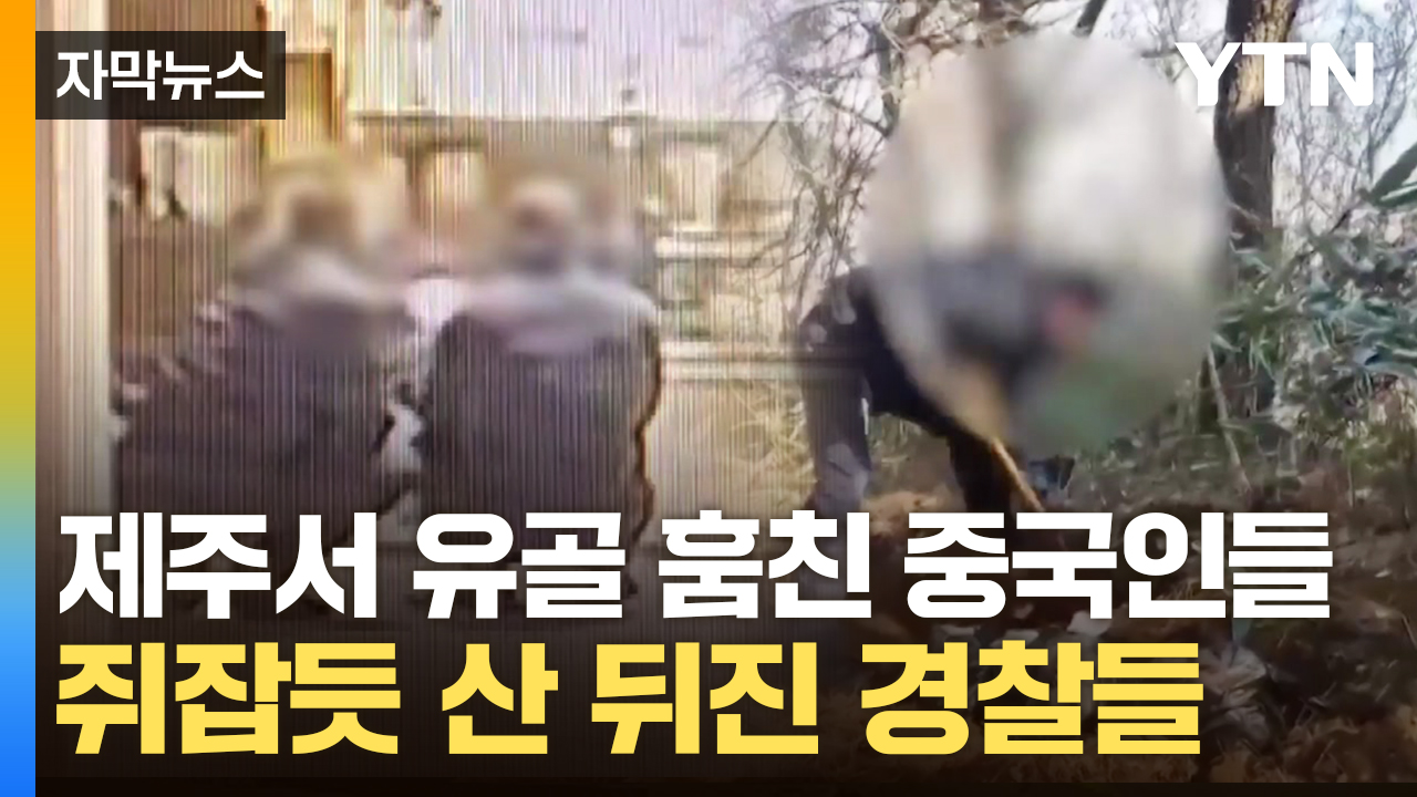 [자막뉴스] 제주 납골당에서 유골 훔친 중국인들..."28억 내놔라" 협박하며 '두문불출'