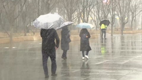 [날씨] 밤까지 전국 강풍 동반 눈비…영동 내일까지 폭설