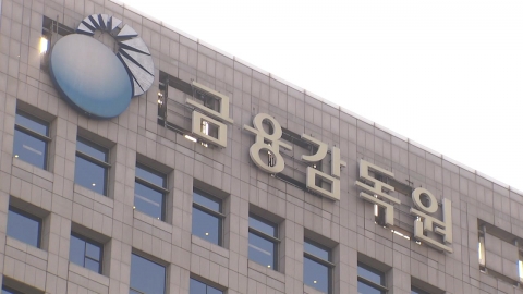 금감원, MBK 포함 대형 사모펀드 점검 나서