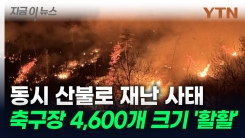 동시다발 산불에 축구장 4,600개 크기 산림 불타 [지금이뉴스]