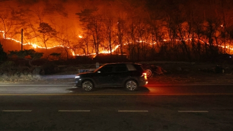 순식간에 1개에서 수십 개로…이번 \'괴물 산불\' 특징 [Y녹취록]