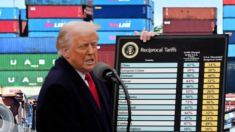 관세전쟁 승자는 브라질·이집트·인도?