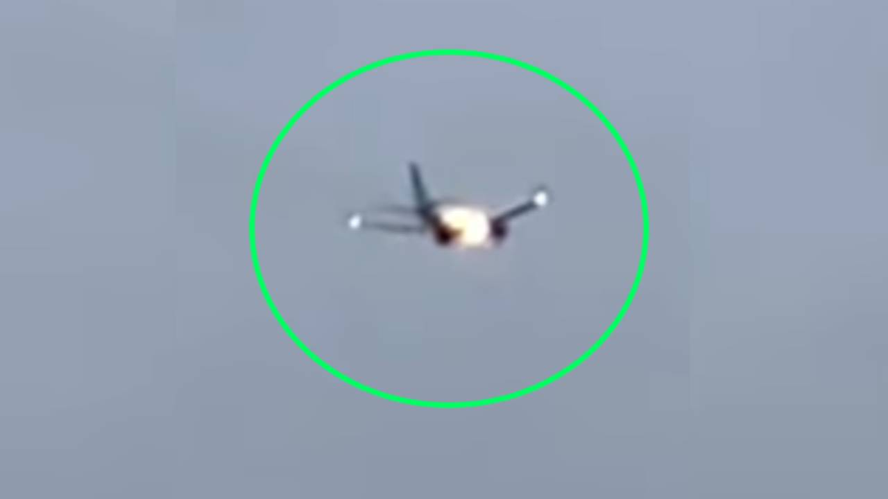 '토끼 한 마리 때문에…' 美여객기 긴급 회항한 황당 사고