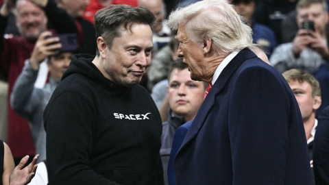 머스크 X에 허위정보 홍수...캐나다 총선 결과 왜곡 우려