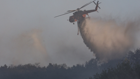  08시 기준 대구 북구 산불 진화율 82%