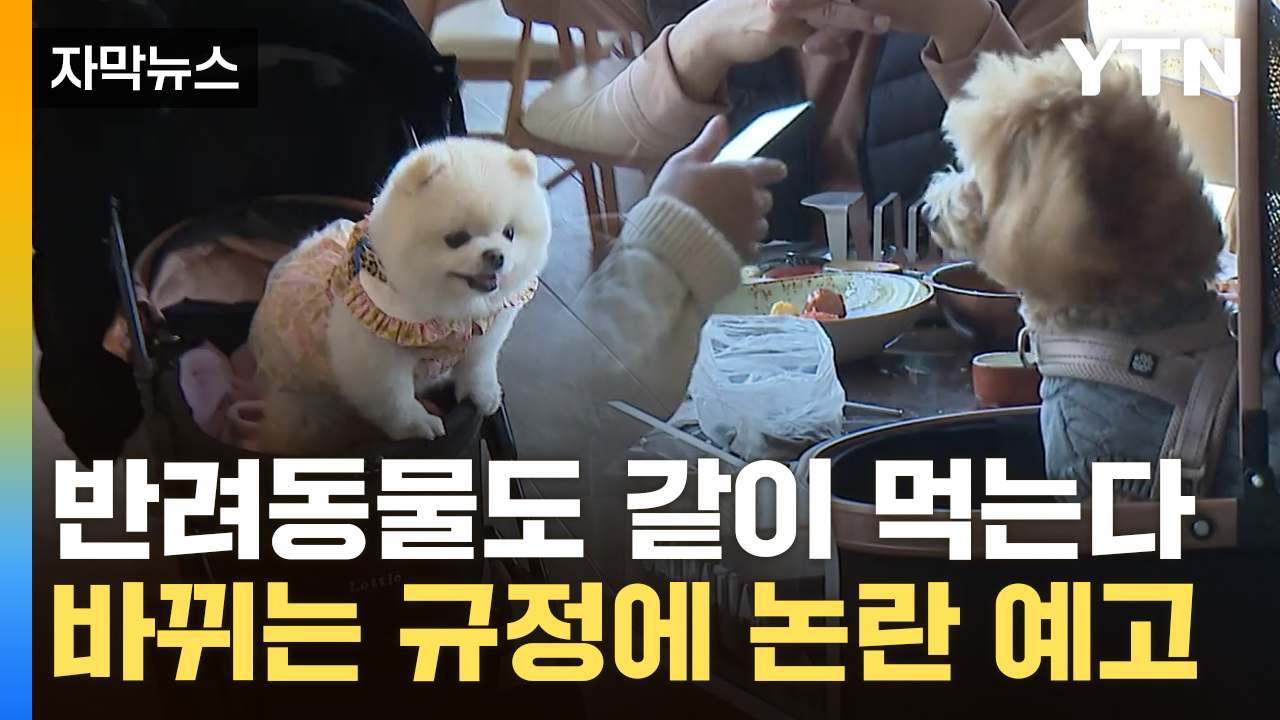 [자막뉴스] '강아지 데리고 갈게요'...극명히 갈린 반응