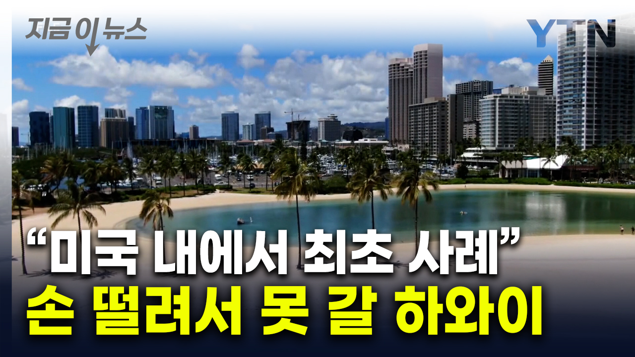 역대급 '세금' 결단...살 떨리는 하와이 여행 물가 예고 [지금이뉴스] 