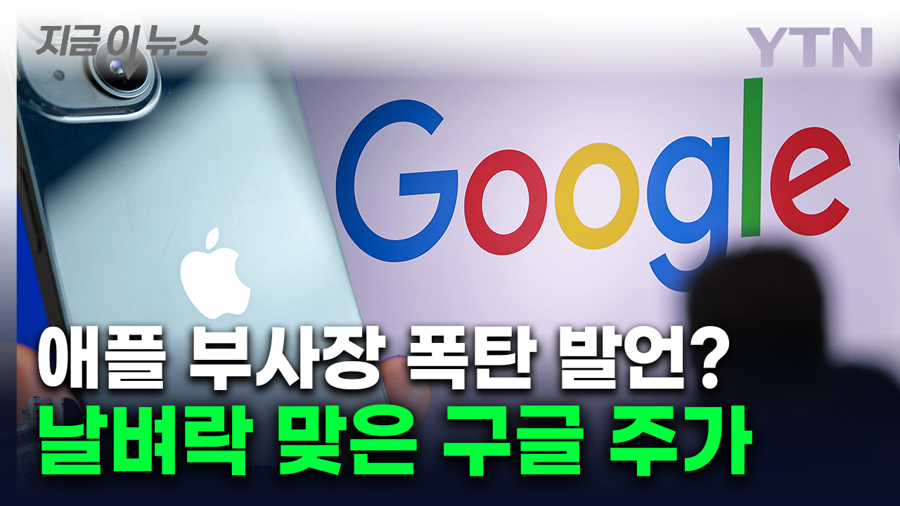 "결국 대체될 것" 애플 부사장이 끼얹은 '찬물'...구글 주가 급락 [지금이뉴스]