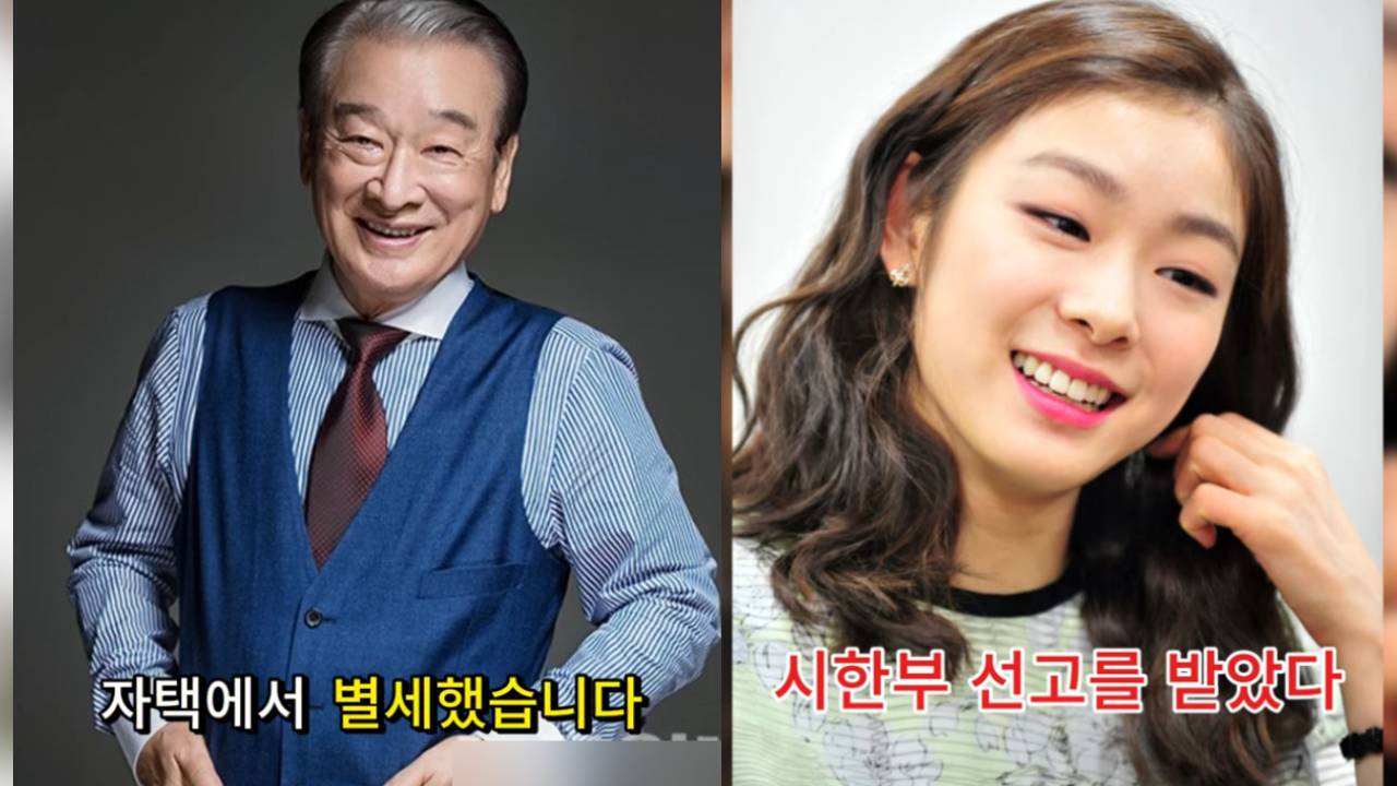 "이순재 사망·김연아 시한부?"…연예인 '가짜 부고' 채널 논란