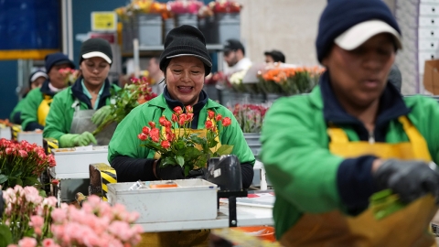 트럼프 관세로 미국 어머니날 '폭망'...꽃값 급등