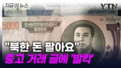 "실제 북한 사람과 교환 지폐 팔아요"....당근에 올라온 황당 게시글 [지금이뉴스]