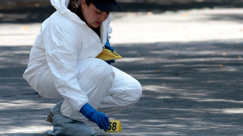 멕시코 여성 인플루언서, SNS 생방송 중 총격에 숨져