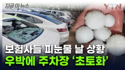 中베이징 하늘서 와르르...\'달걀 크기\' 우박에 차량들 \'초토화\' [지금이뉴스]