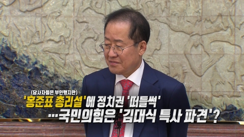 "특사, 오지 말라" 홍준표…속내는? [앵커리포트]