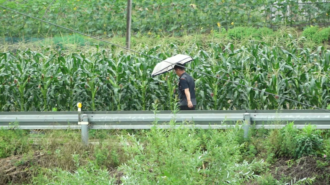 [출근길 YTN날씨 5/19] 오후부터 중서부 중심 비...중부 선선·남부 낮 더위