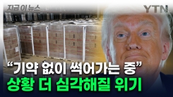 "싹 다 잘라라" 트럼프 결정에...창고 내부서 썩어가는 식량들 [지금이뉴스] 