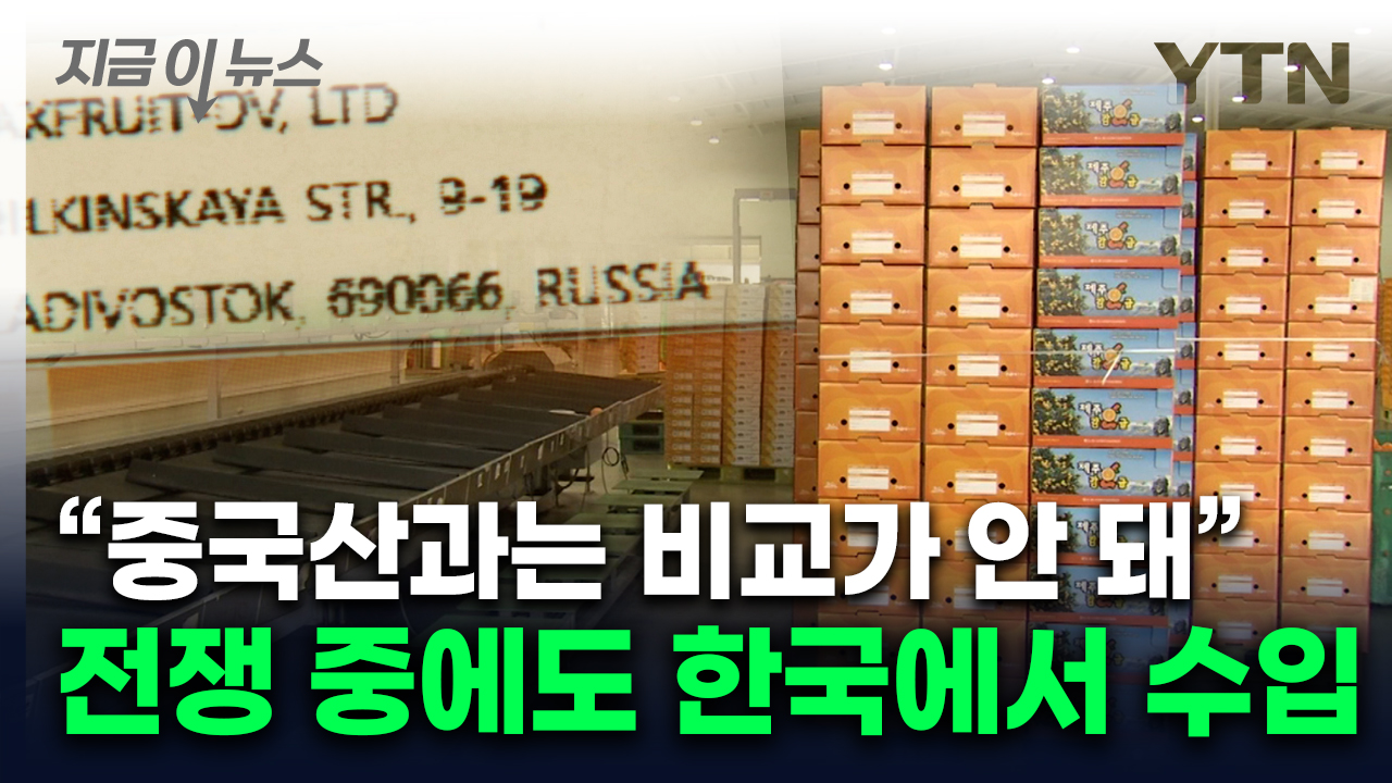 전쟁 중인 러시아도 못 참는 맛...불티나게 팔려나간 한국산 [지금이뉴스]