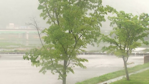 [날씨] 중서부 점차 비…내일 전국 30℃ 안팎 한여름 더위
