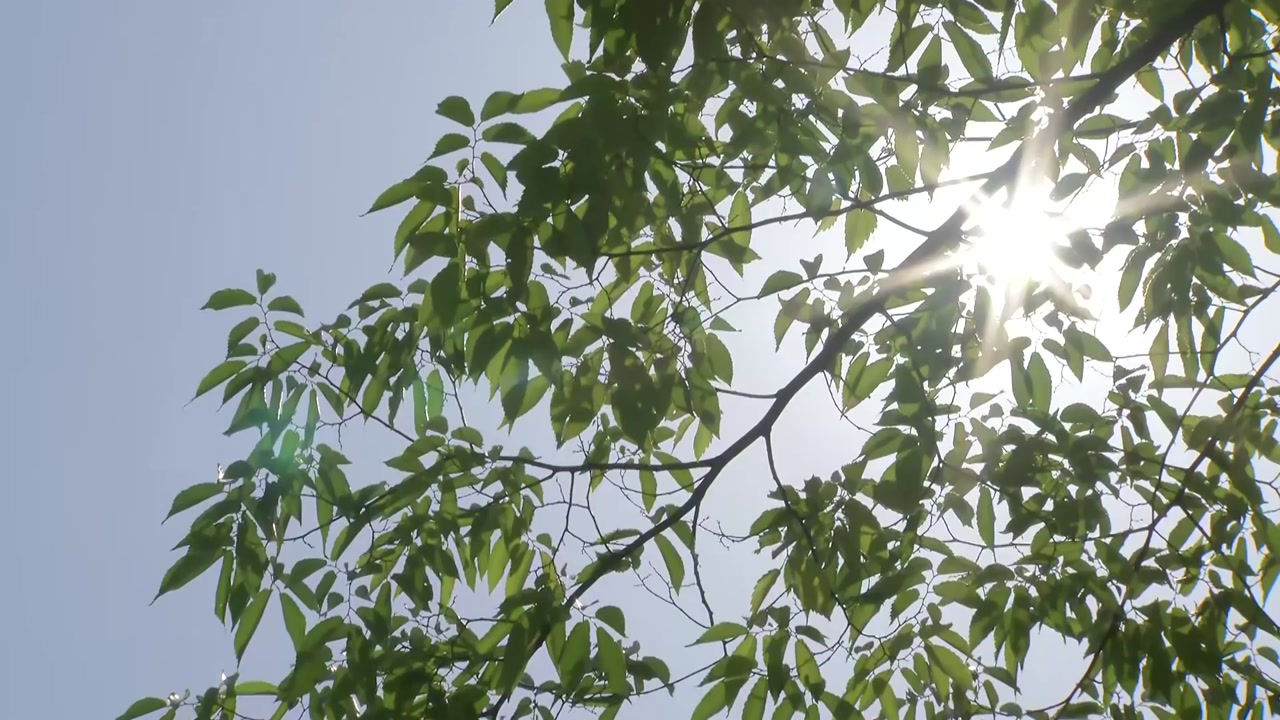 [날씨] 중부 곳곳 비, 내일은 30℃ 더위...들쭉날쭉 봄 날씨 계속