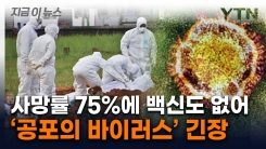 코로나 이후 처음...\'치사율 75%\' 공포의 감염병 주의보 [지금이뉴스] 