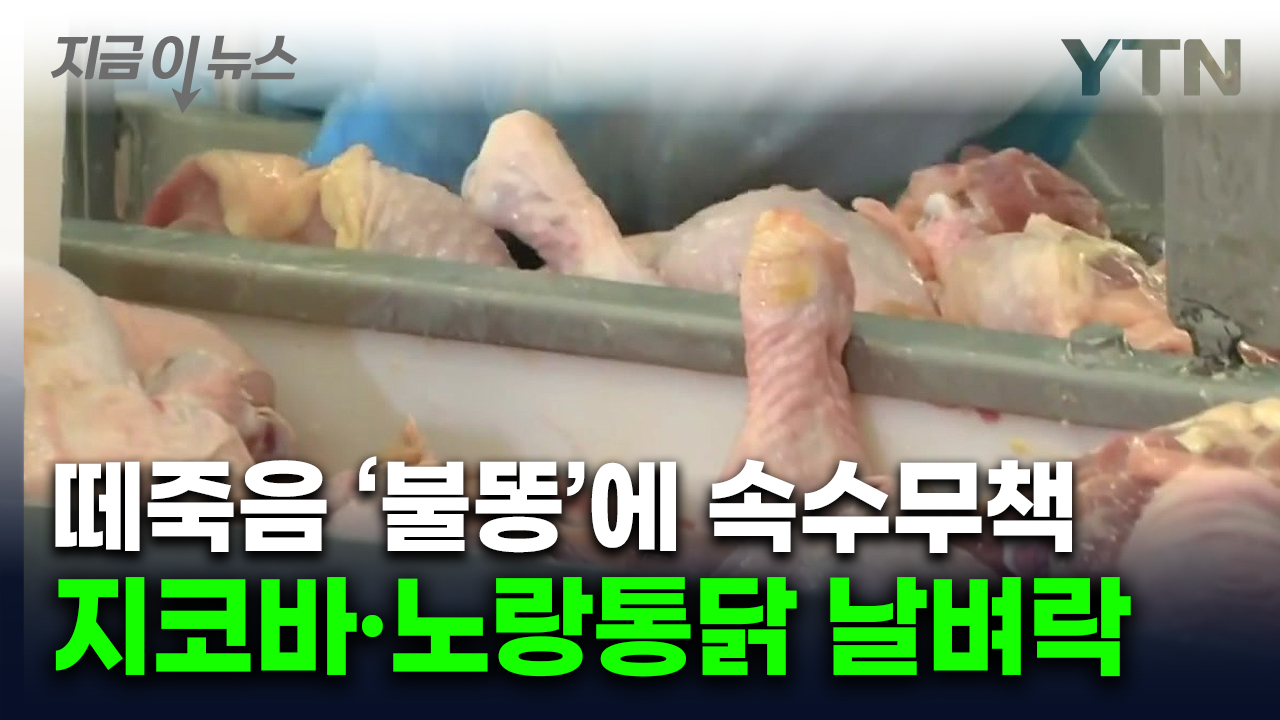 이러다 '치킨값 3만원' 공포...비상 걸린 사장님들 [지금이뉴스] 