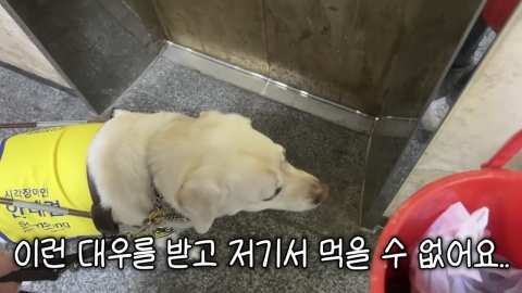 "홀도 텅 비었는데"…시각장애인에 불 꺼진 자리 준 횟집