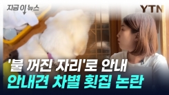 "안내견 때문에..." 바다 뷰 대신 \'불 꺼진 자리\' 안내한 횟집 [지금이뉴스]