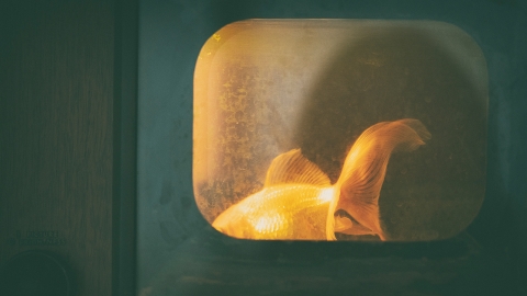 작가 이경 사진전 '나우히어 2'...고립된 현대인 모습 표현