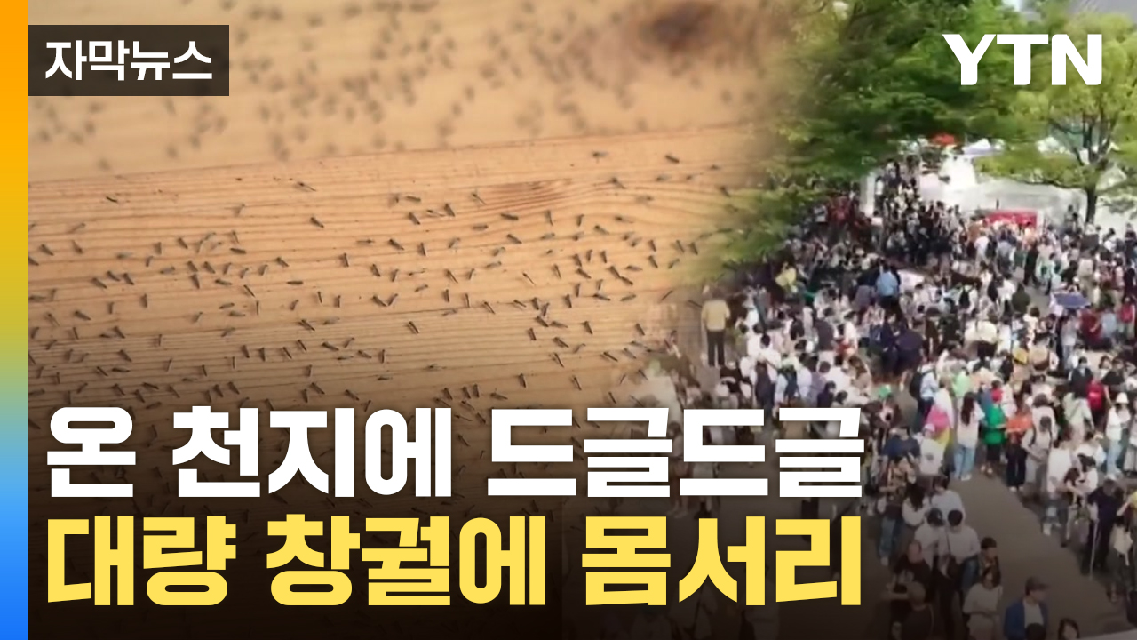 [자막뉴스] '벌레 박람회' 된 오사카...난리난 위생 상태에 '비명' 속출