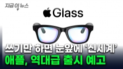 쓰고 "시리야" 하면 실시간으로...베일 벗는 애플 \'스마트 안경\' [지금이뉴스] 