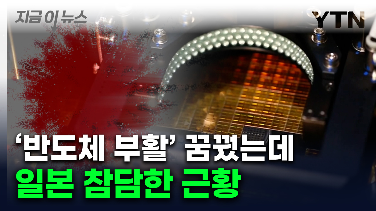 공장 다 지었는데 절반이 '암담'...밀려나는 日 반도체 [지금이뉴스]