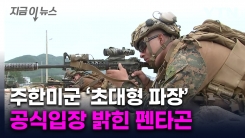 "철통 같은 동맹"...美 국방부, 주한미군 감축 보도에 반박 [지금이뉴스] 