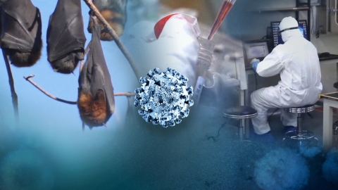 "코로나19  '중국 우한 실험실 유출' 아니다"...영국 연구팀 추적 조사