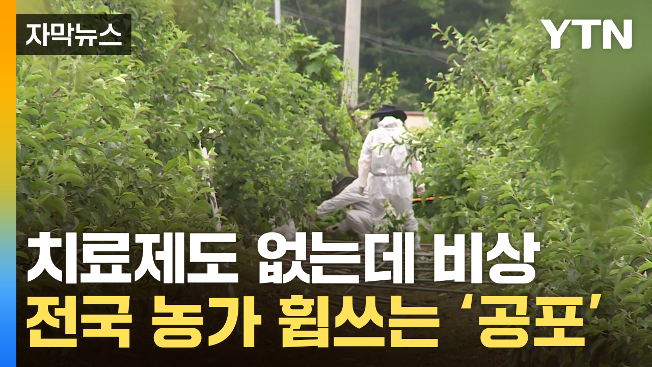 [자막뉴스] 한번도 이런 적 없었는데...급속 확산에 '발등의 불'
