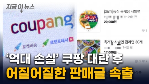 \'파격가\' 쿠팡 육개장 대란 후…중고거래 되팔이까지 등장 [지금이뉴스]