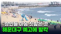 올여름 해운대 백사장에 생기는 변화...상인들은 강력 반발 [지금이뉴스]