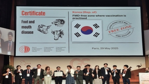 제주도, 구제역 백신 접종 청정지역 국제 인증 획득