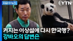 "푸바오 육아 도와주고파"...中 다녀온 강철원 사육사가 전한 말 [지금이뉴스] 