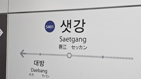 [속보] 신림선 샛강역에 전동휠체어 추락…열차 운행 중지