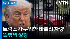 \'테슬라 영업사원\' 나섰던 트럼프...머스크와 갈라서자마자 \'뒤끝\' [지금이뉴스] 